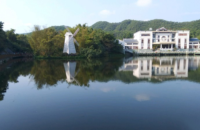 image005.jpg image005.jpg