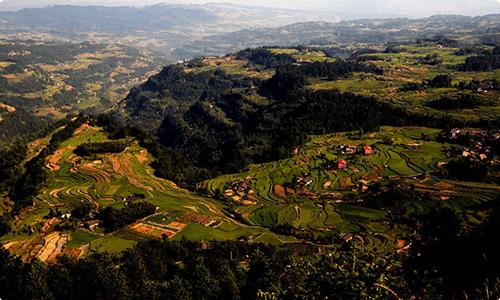 发现重庆乡村之美——綦江横山