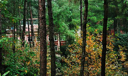 发现重庆乡村之美——綦江横山