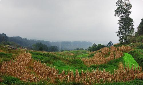 发现重庆乡村之美——綦江横山