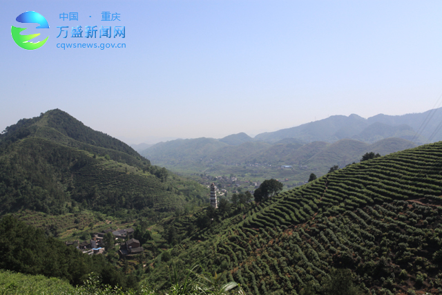 重庆自由行万盛青年古镇