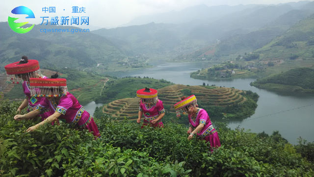 重庆自由行万盛青年古镇