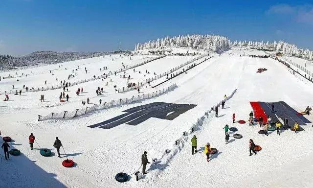 081213351irz.jpg 081213351irz.jpg