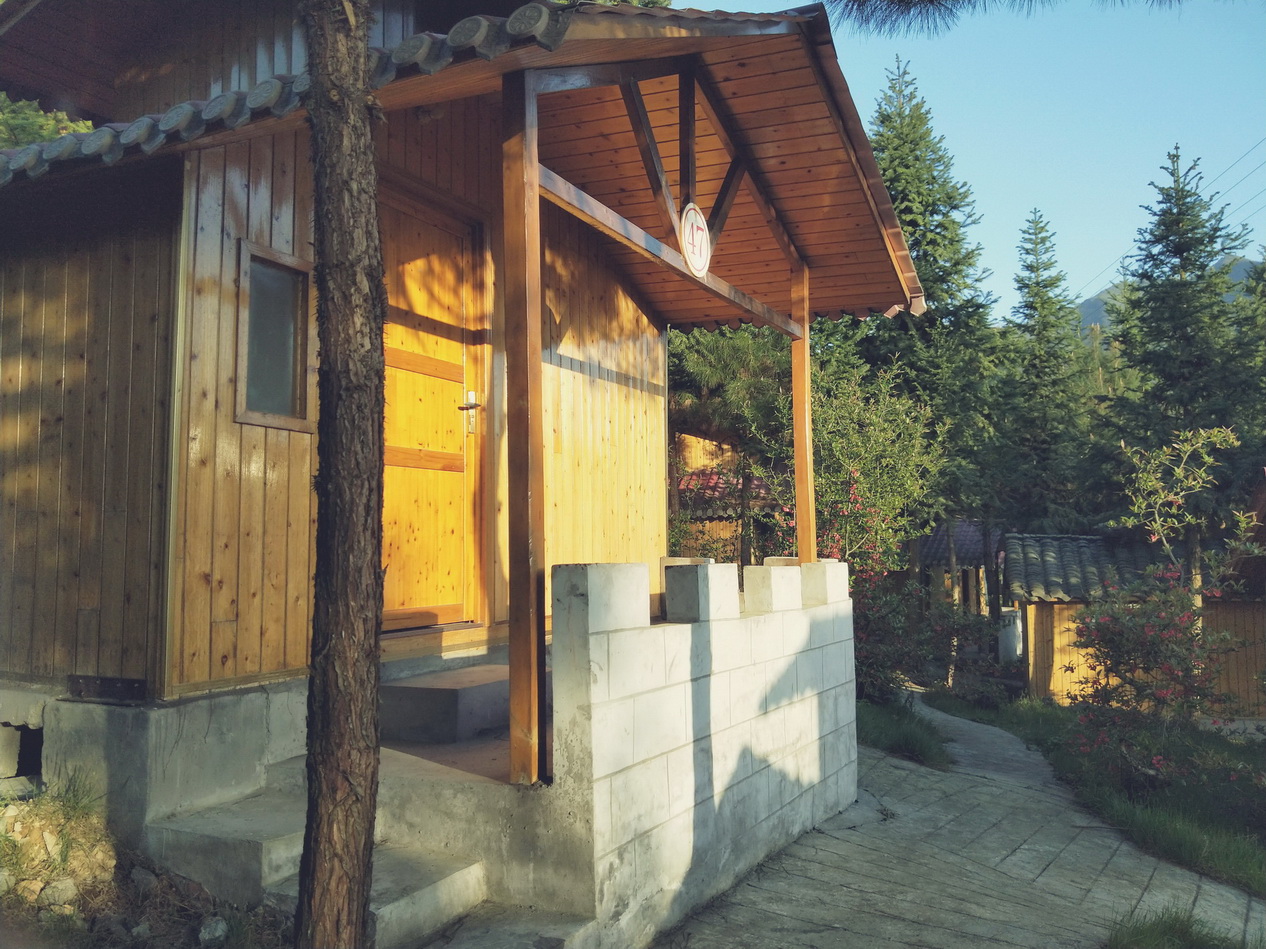 IMG20190407071552.jpg IMG20190407071552.jpg