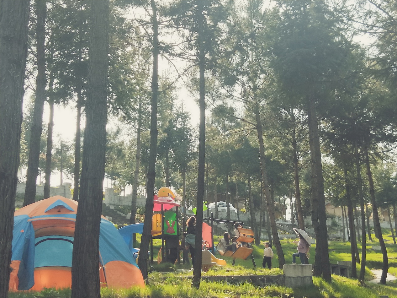 IMG20190406162710.jpg IMG20190406162710.jpg