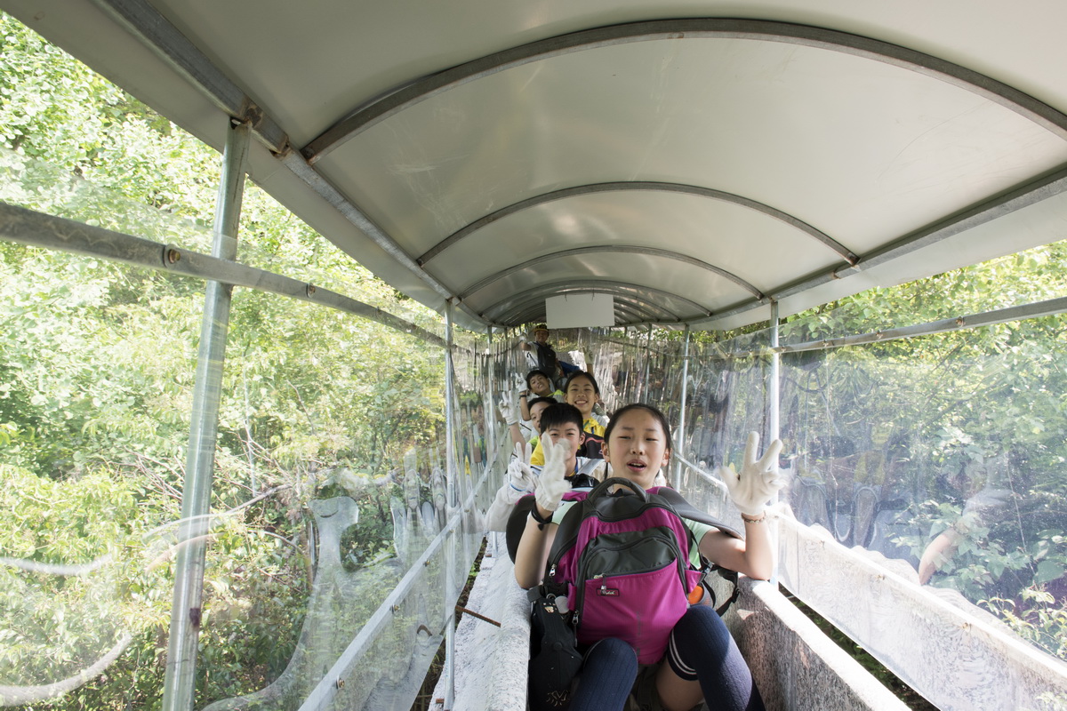 211719179bxe.jpg 211719179bxe.jpg