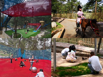 0411244054bk.jpg 0411244054bk.jpg