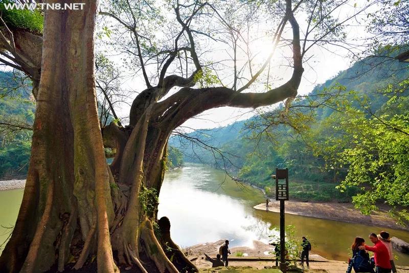 mmexport1571887916613.jpg mmexport1571887916613.jpg