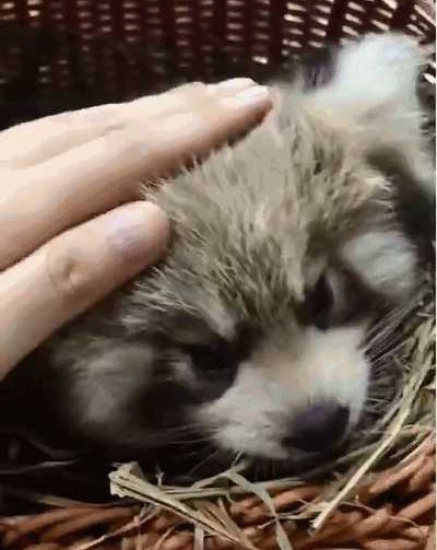 u=3366128412,156954341&fm=26&gp=0.jpg u=3366128412,156954341&fm=26&gp=0.jpg