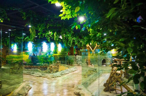 大耳朵2.jpg 大耳朵2.jpg