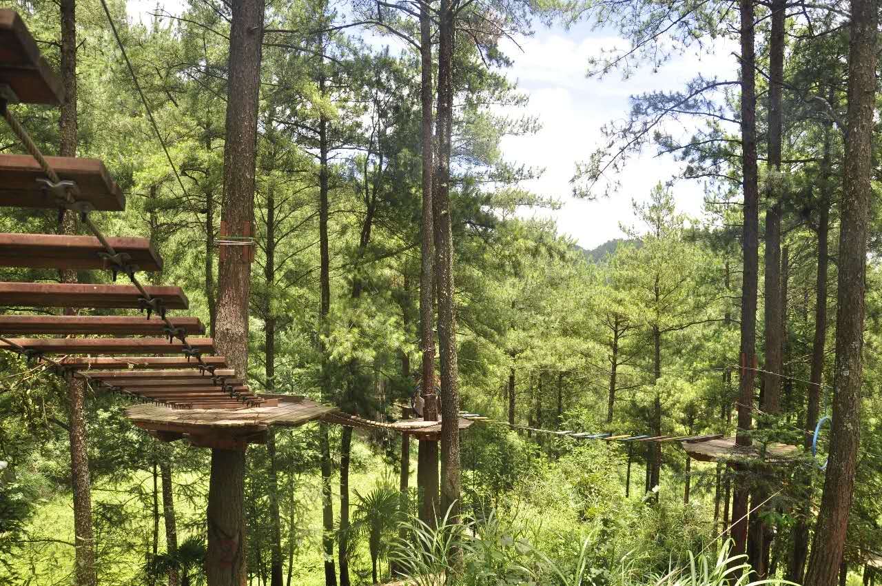 微信图片_20200330161548.jpg 微信图片_20200330161548.jpg