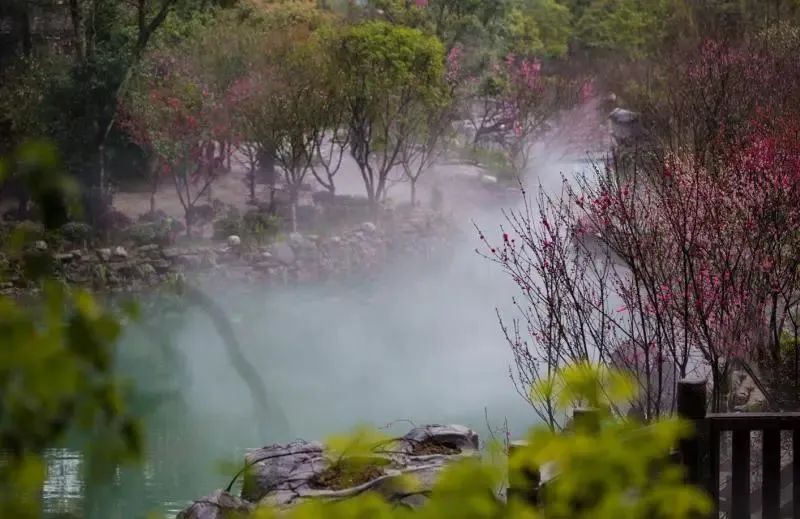 桃花源来源公众号.jpg 桃花源来源公众号.jpg