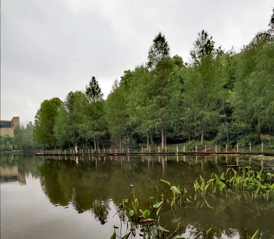 璧山自拍.jpg 璧山自拍.jpg