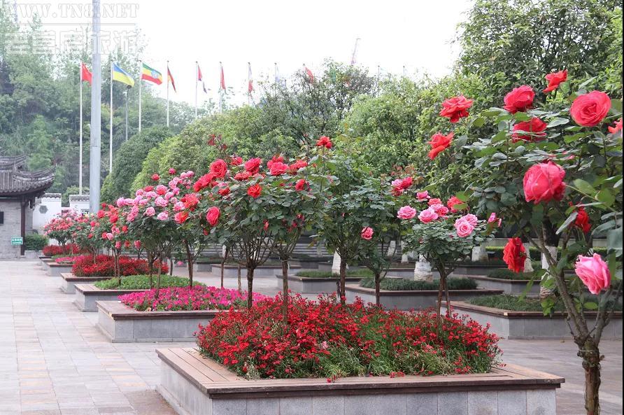 园博园3.jpg 园博园3.jpg