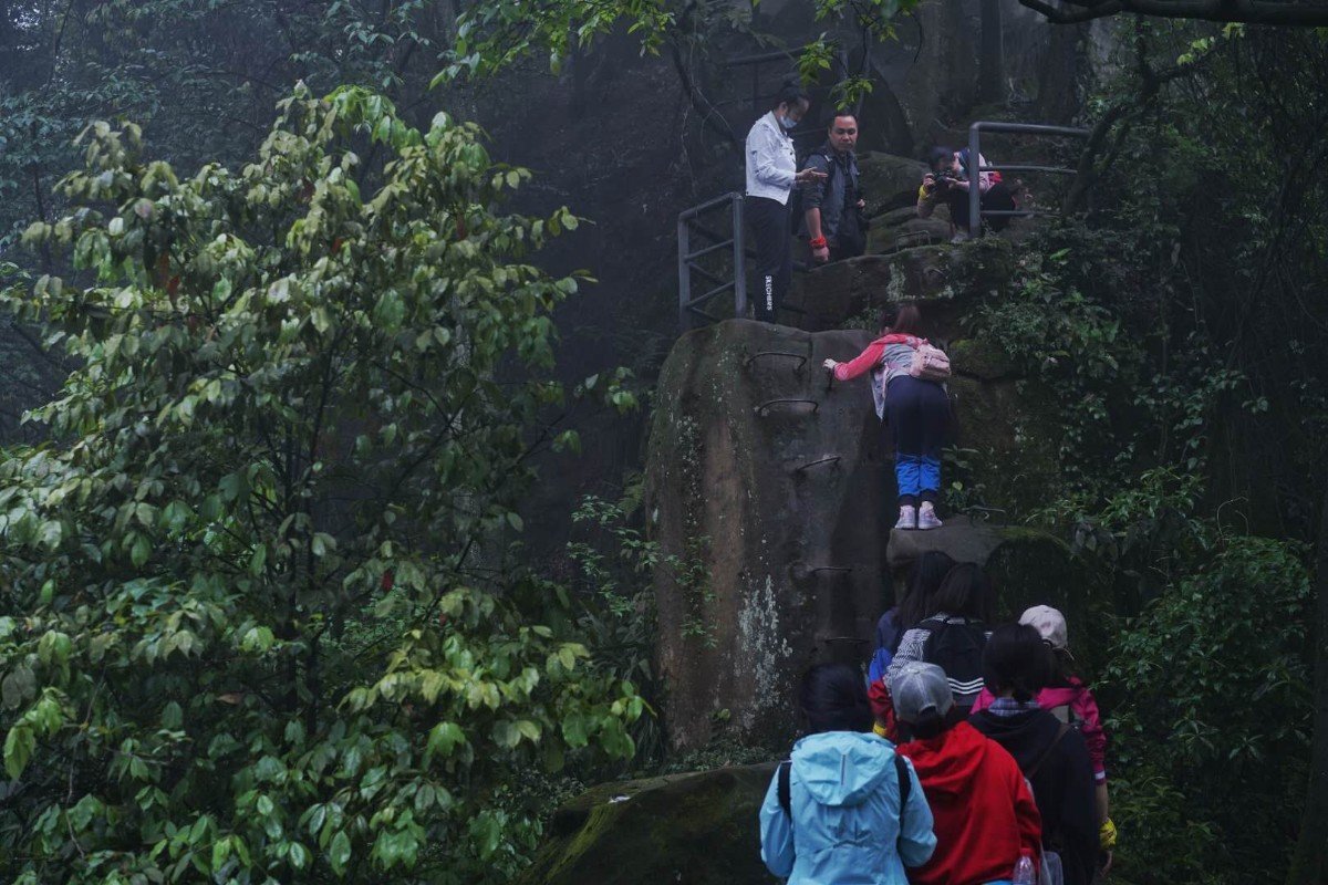 800 (1).jpg 800 (1).jpg