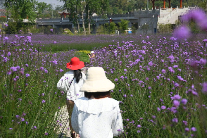 huahai.jpg huahai.jpg