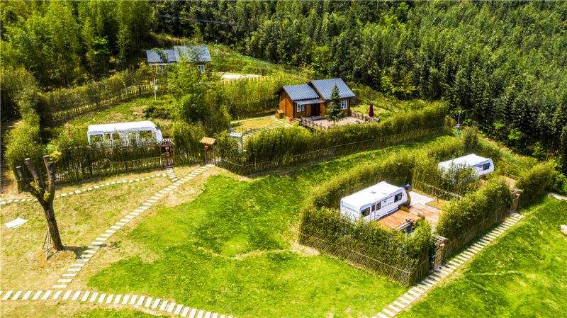 timg (1).jpg timg (1).jpg