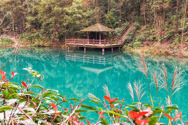 图片6.png 图片6.png