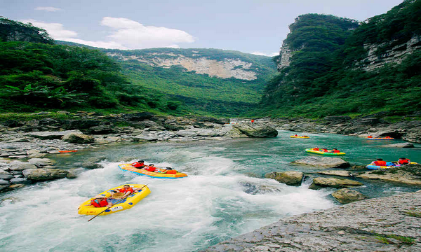 图片9.png 图片9.png