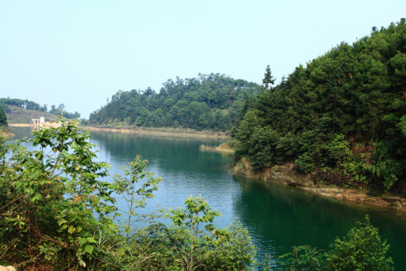 图片11.png 图片11.png