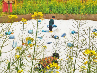 图片3.png 图片3.png