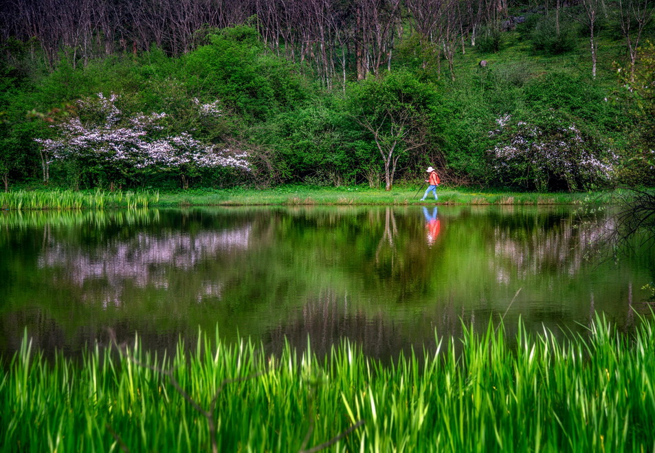 clip_image005.jpg clip_image005.jpg