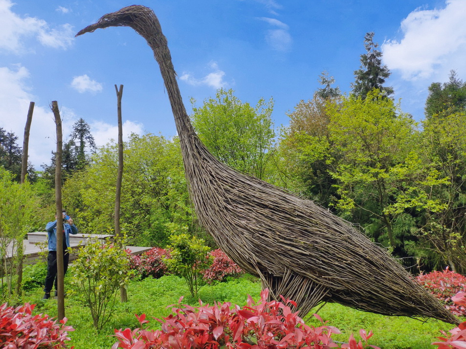 clip_image005.jpg clip_image005.jpg